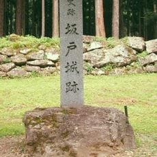 Sakado Castle