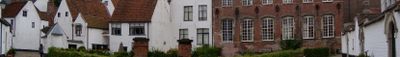 Panoramic View 0