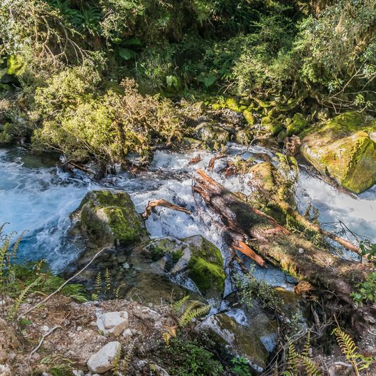 Parco nazionale del Fiordland