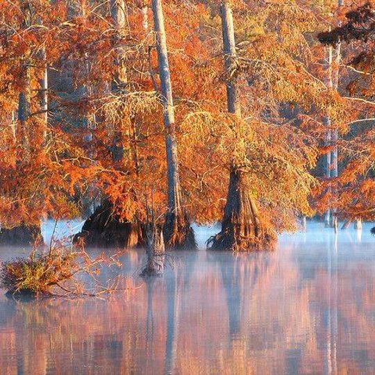 Sam D. Hamilton Noxubee National Wildlife Refuge