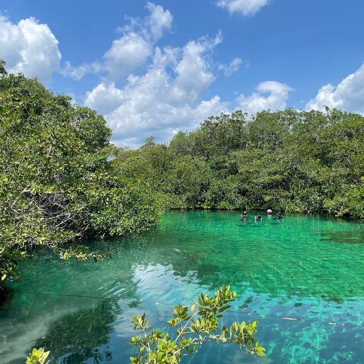 Casa Cenote