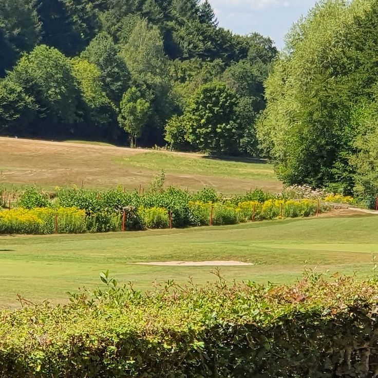 Golf Resort Heitlinger Tiefenbach