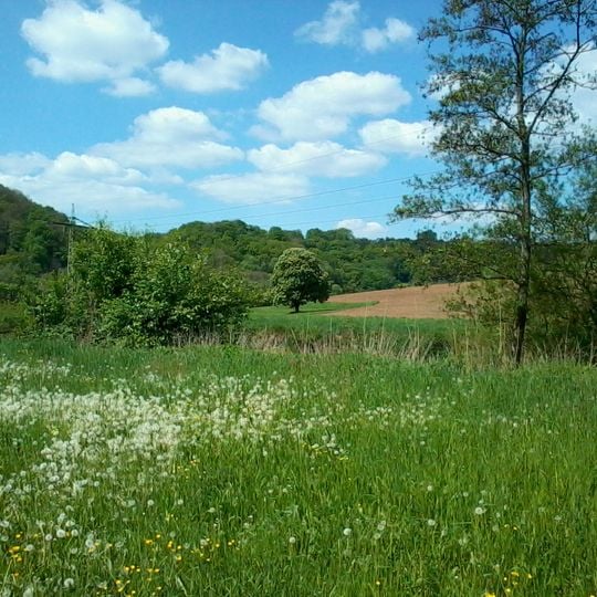 Kochertal zwischen Schwäbisch Hall und Weilersbach mit Nebentälern