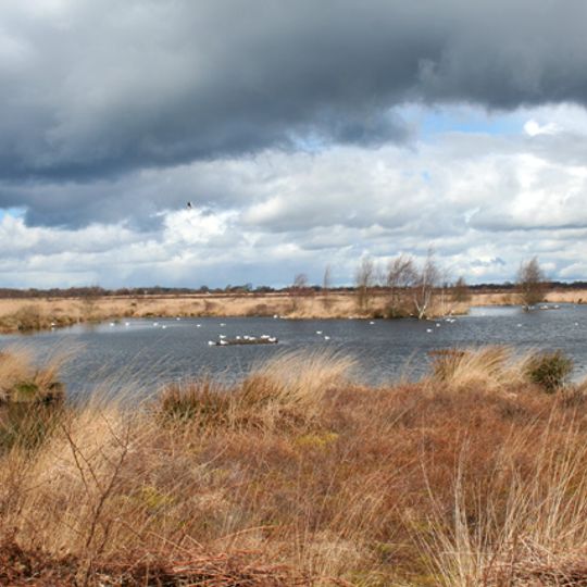 Fenn's, Whixall and Bettisfield Mosses National Nature Reserve