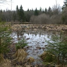 Moore und Wälder westlich Dießen