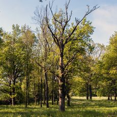 Seeanger bei Oberkrumbach
