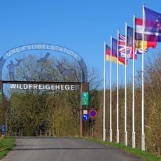 Wildgehege Hellenthal