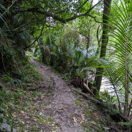 Scenic Reserve - Rawhiti Caves