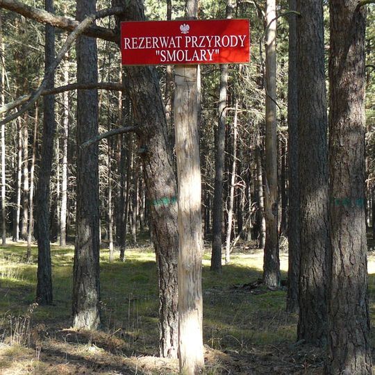 Rezerwat przyrody Smolary