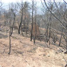 Casalot de la Llegenda