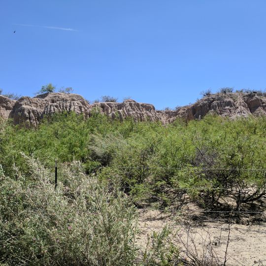 Mesilla Valley Bosque State Park