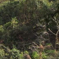 Santhal Pargana division