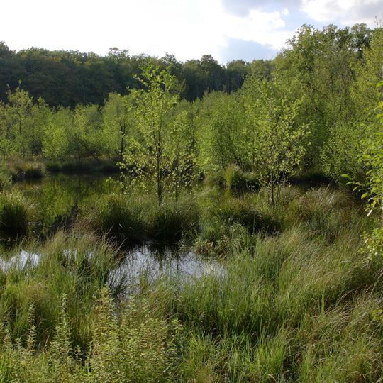 Irtenberger und Guttenberger Wald