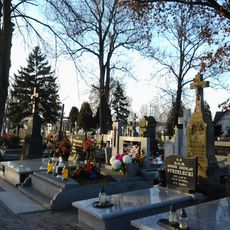 Cemetery in Brdów