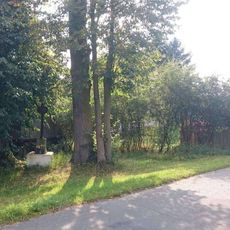 Kříž východně od Dlouhé Lhoty