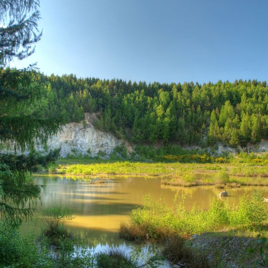 Naturschutzgebiet Quarzitbruch bei Rosbach