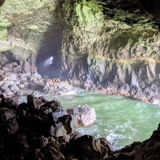 Sea Lion Caves