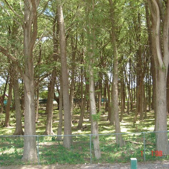 Parc national El Sabinal