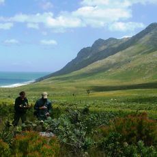 Kogelberg Nature Reserve