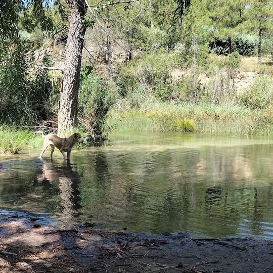 Playa de Cueva Tomás