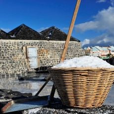 Salines de Yemen-Tamarin