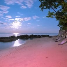 Cove Point Beach