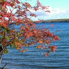 Hubbard Lake