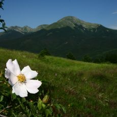 Riserva regionale Monte Prinzera