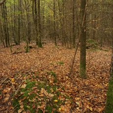 Großsteingrab Sachsenwald Alter Hau 3