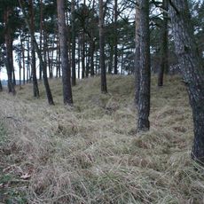 Burgwall Klessener Zootzen