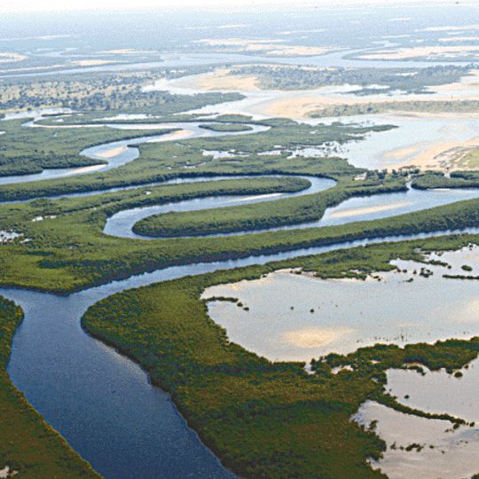 Saloum Delta