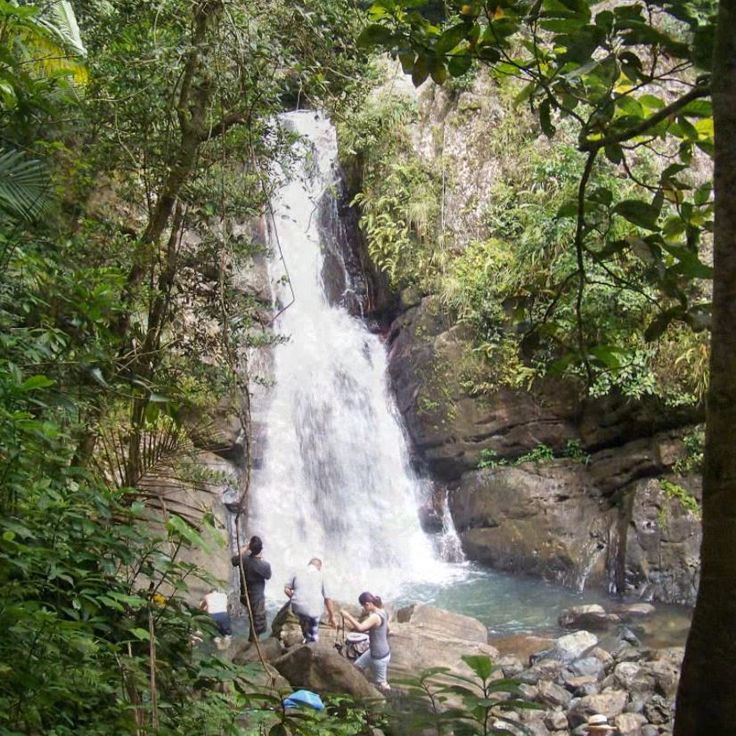 Wodospady La Mina w El Yunque