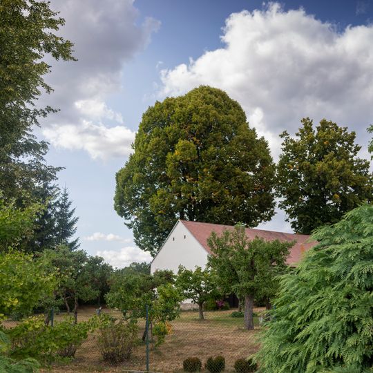 Divadelní lípa v Březí