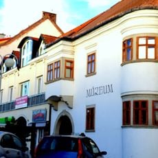 Vinohradnícke múzeum, Kaviakov dom