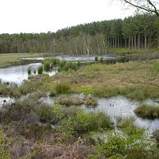 Abbotts Moss Nature Reserve
