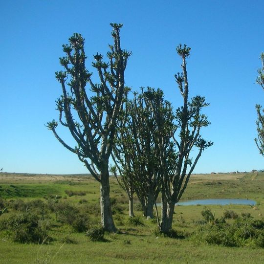Great Fish River Nature Reserve