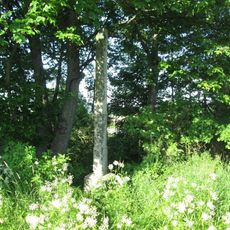 Kříž západně od Chodského Újezdu u pole