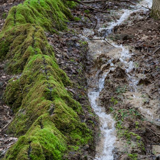 Steinerne Rinne bei Raschbach