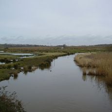 Brading Marshes RSPB reserve