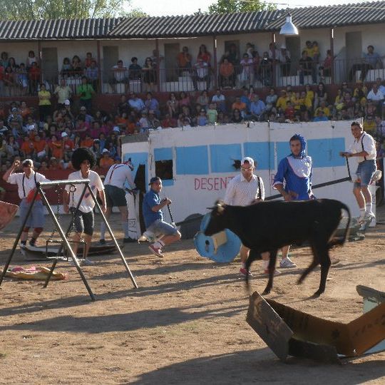 Plaza de toros de Vitigudino