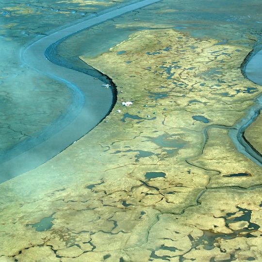 Kusilvak Census Area