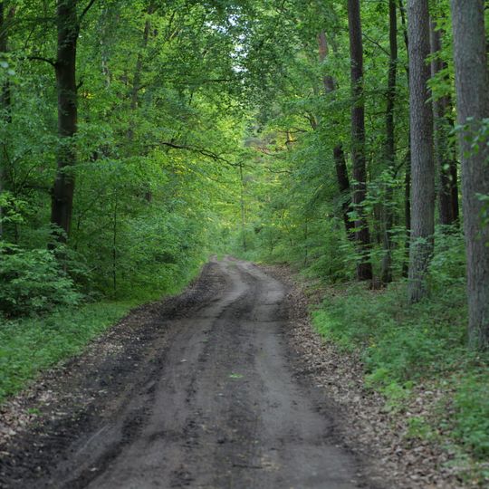 Poratzer Moränenlandschaft