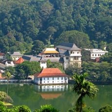 Udawatta Kele Sanctuary