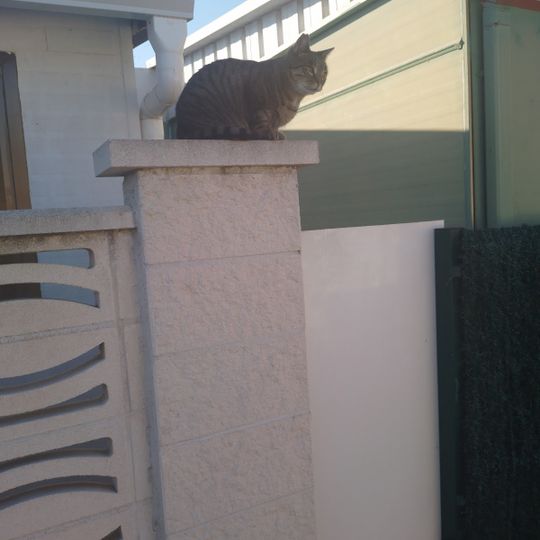 Càmping la Piscina