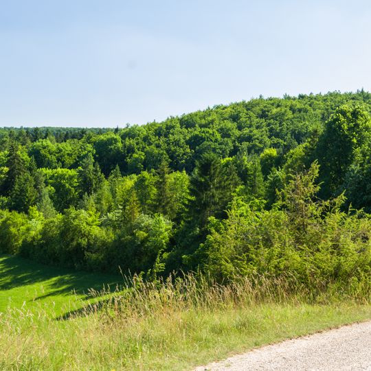 Stiftungswald Nördlingen