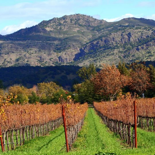 Wine Country
