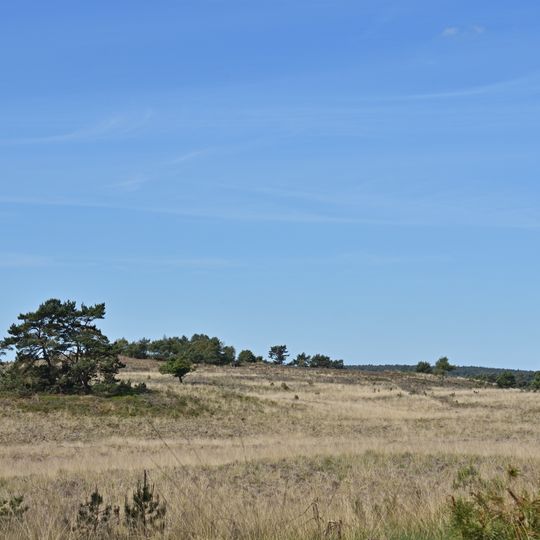 Rheder- en Worth-Rheder heide