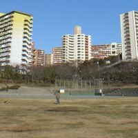 Wakabadai