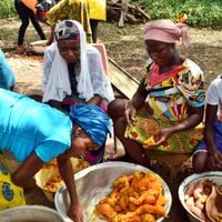 distretto di Gushiegu