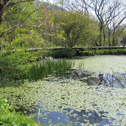Jardín Botánico de Humedales de Hakone
